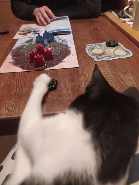 Two players enjoying Akros