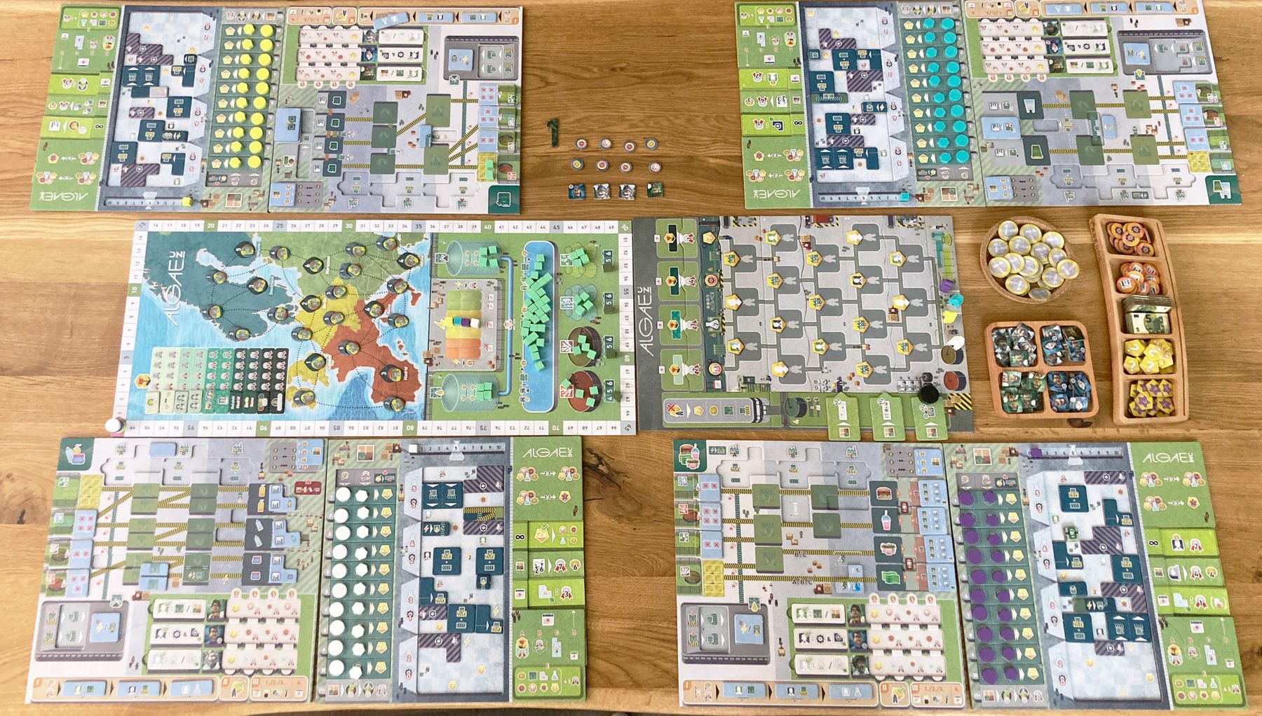 Algae, Inc. fully set up for play