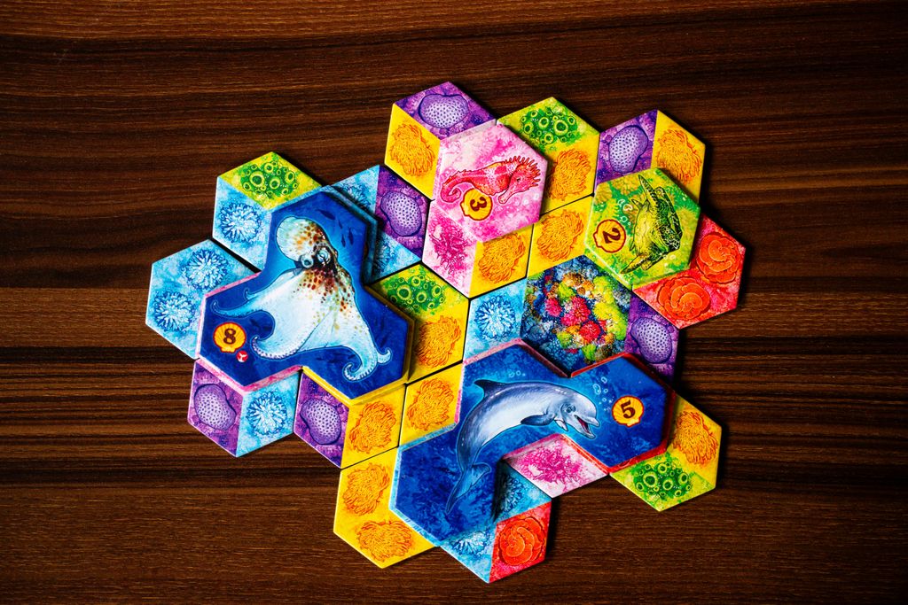 Completed Aqua coral reef player tableau