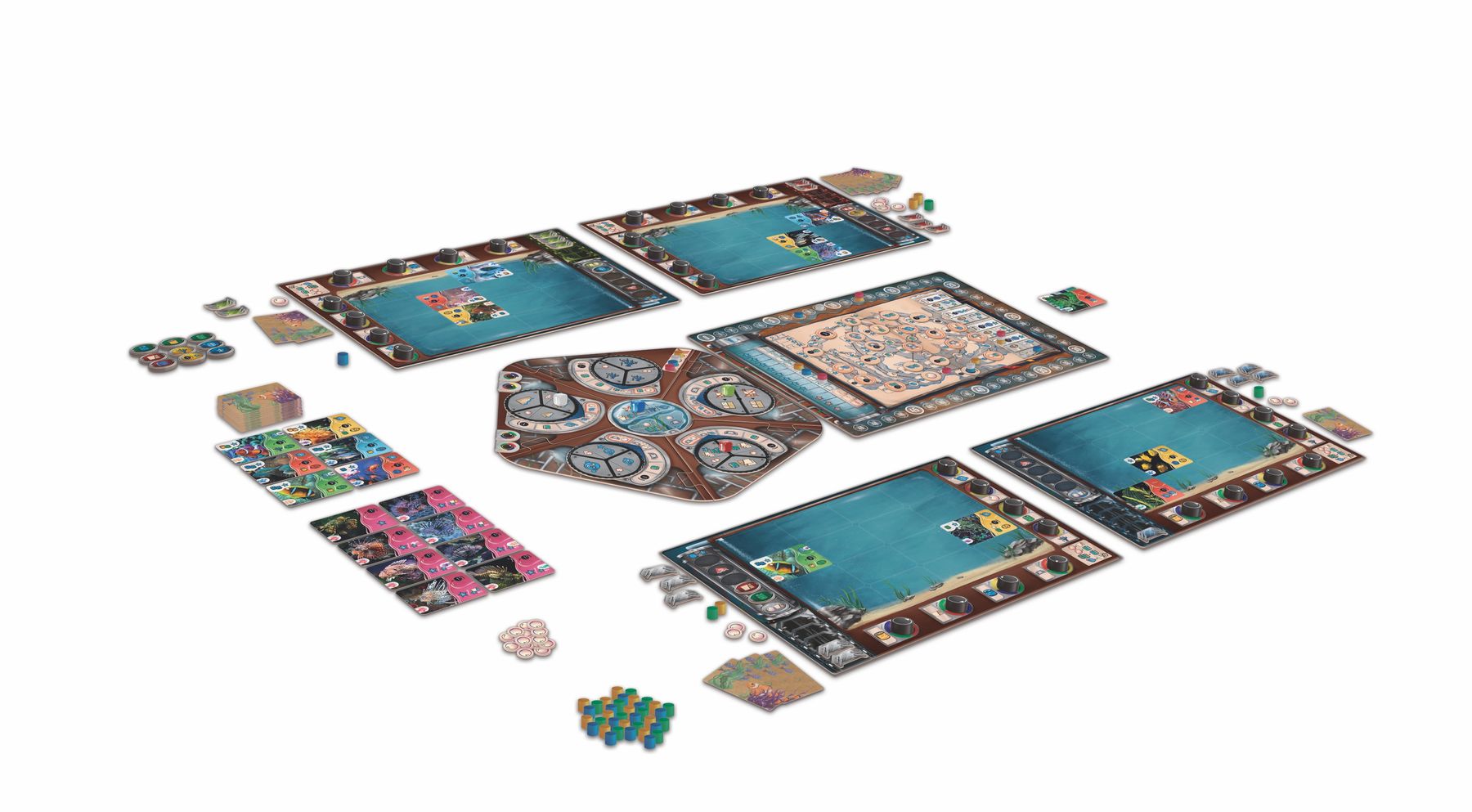 Aquaria board game set up on a table
