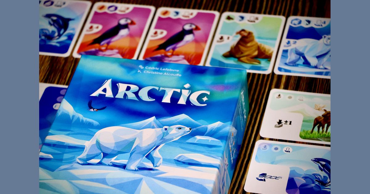 Arctic board and animal pawns