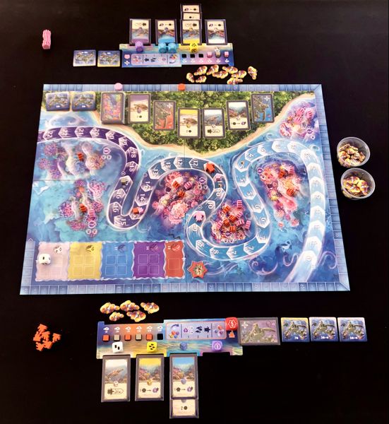 Australis complete game table
