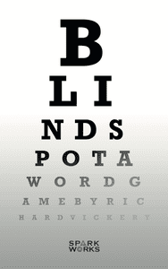Blind Spot box art