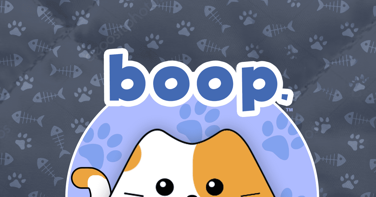 boop. box art