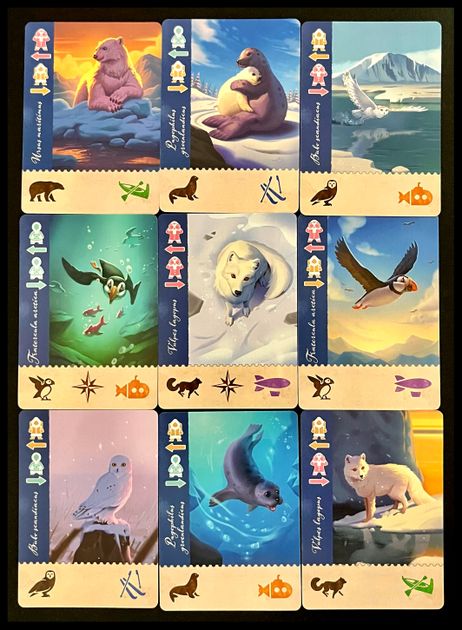 Borealis Arctic Expeditions cards