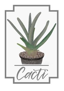 Cacti box art