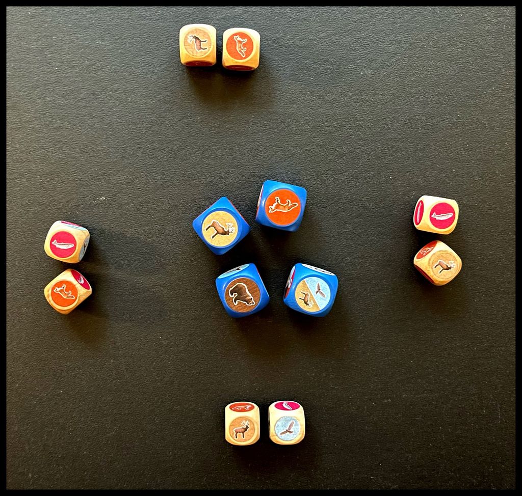 Cascadia Rolling Rivers custom wildlife dice