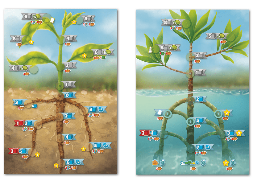 Cellulose plant and cell game boards