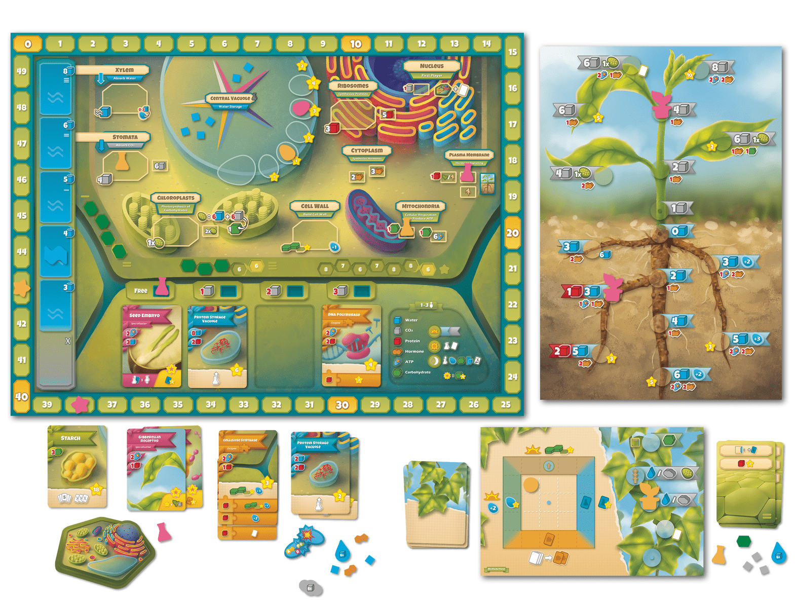 Cellulose board game solo setup