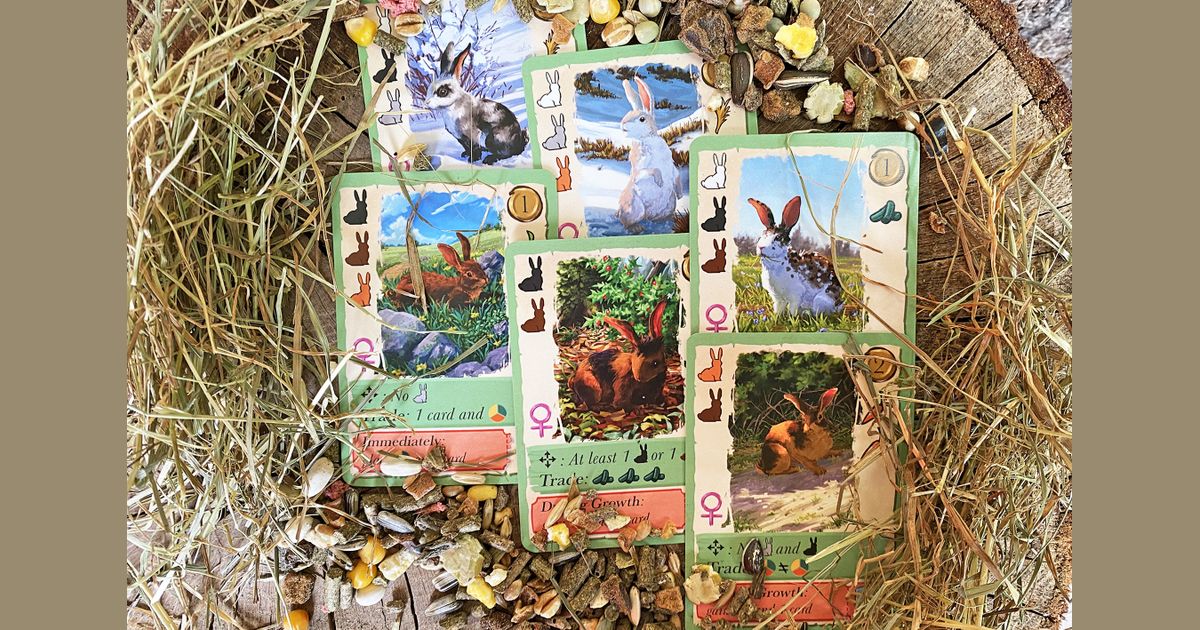 Detailed view of Coney rabbit cards