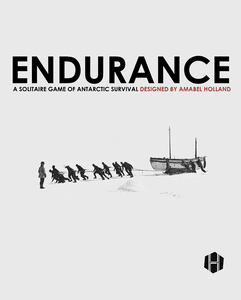 Endurance box art