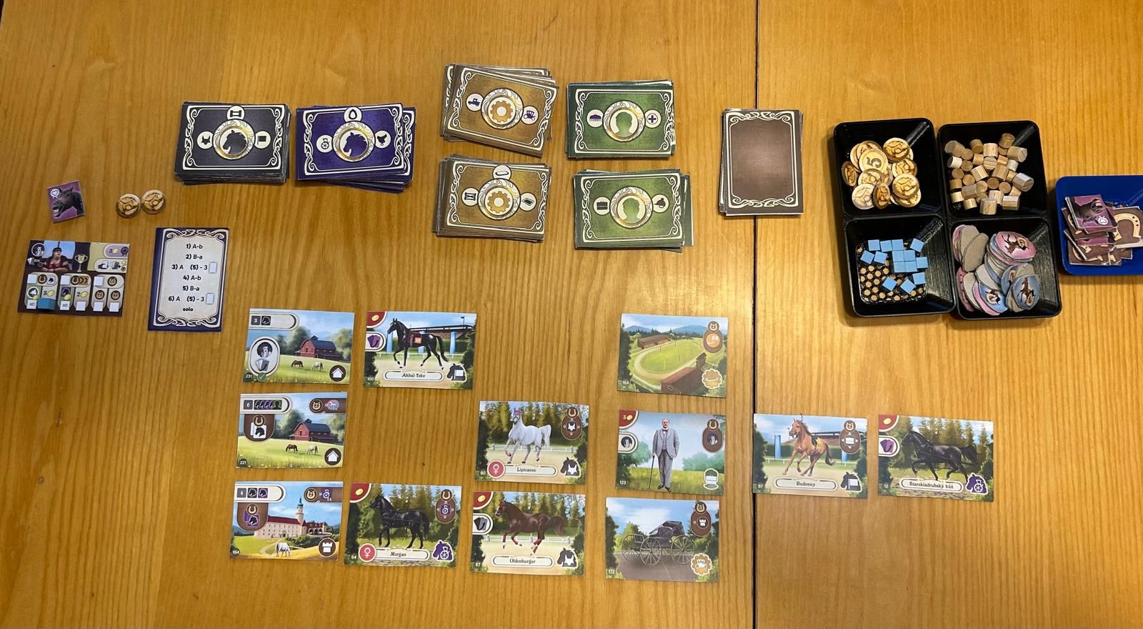 Epona solo game in progress