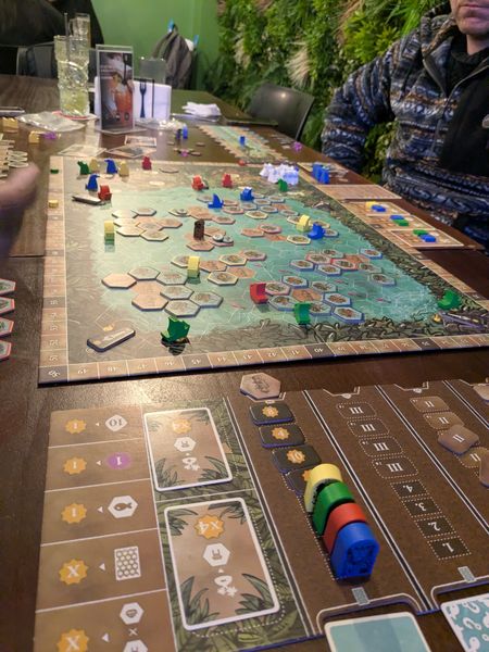 Feya's Swamp complete tabletop setup