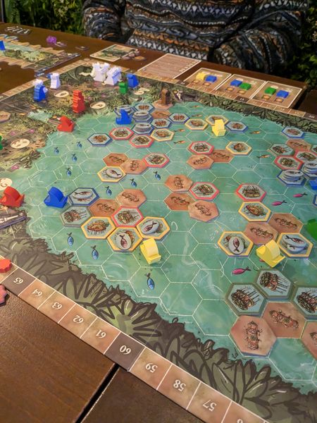 Feya's Swamp board game during play