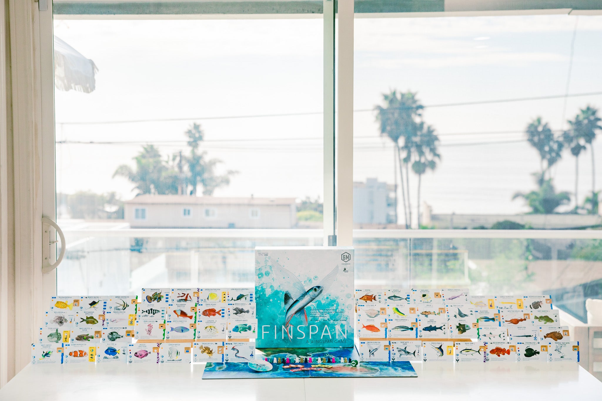Finspan board game setup