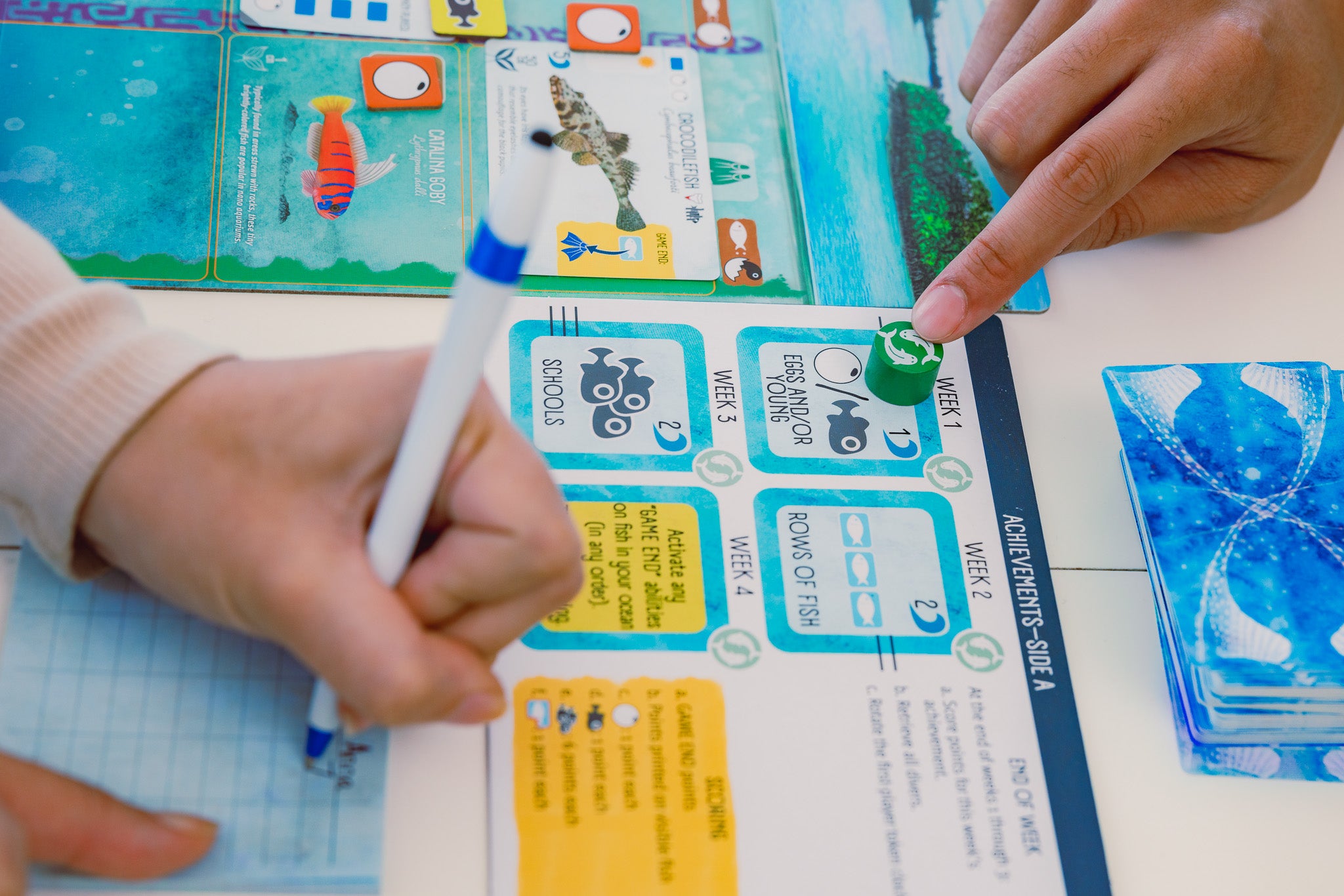 Finspan game in progress on a table