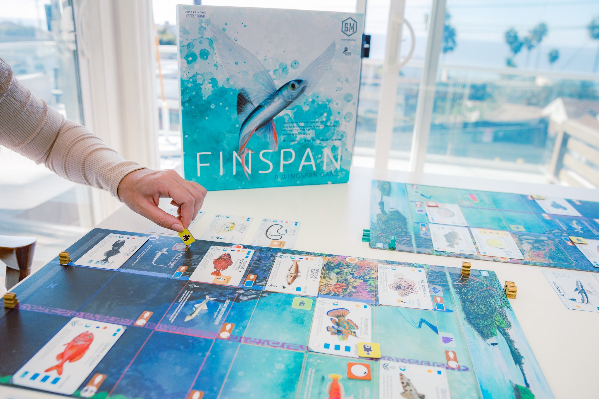 Finspan fish cards and ocean mat