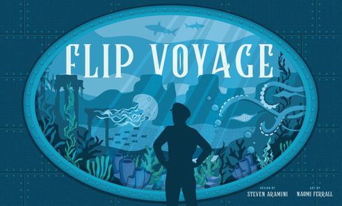 Flip Voyage box art