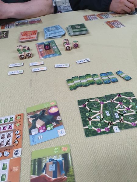 Forage board game play area