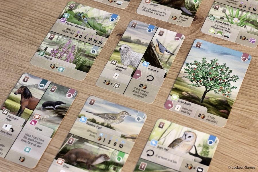 Forest Shuffle Dartmoor cards