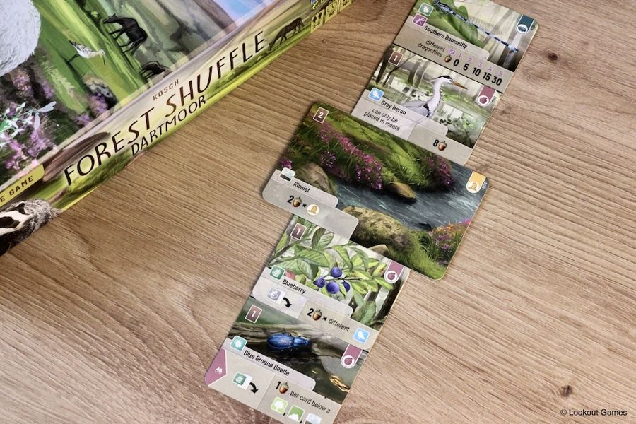 Forest Shuffle Dartmoor terrain gameplay