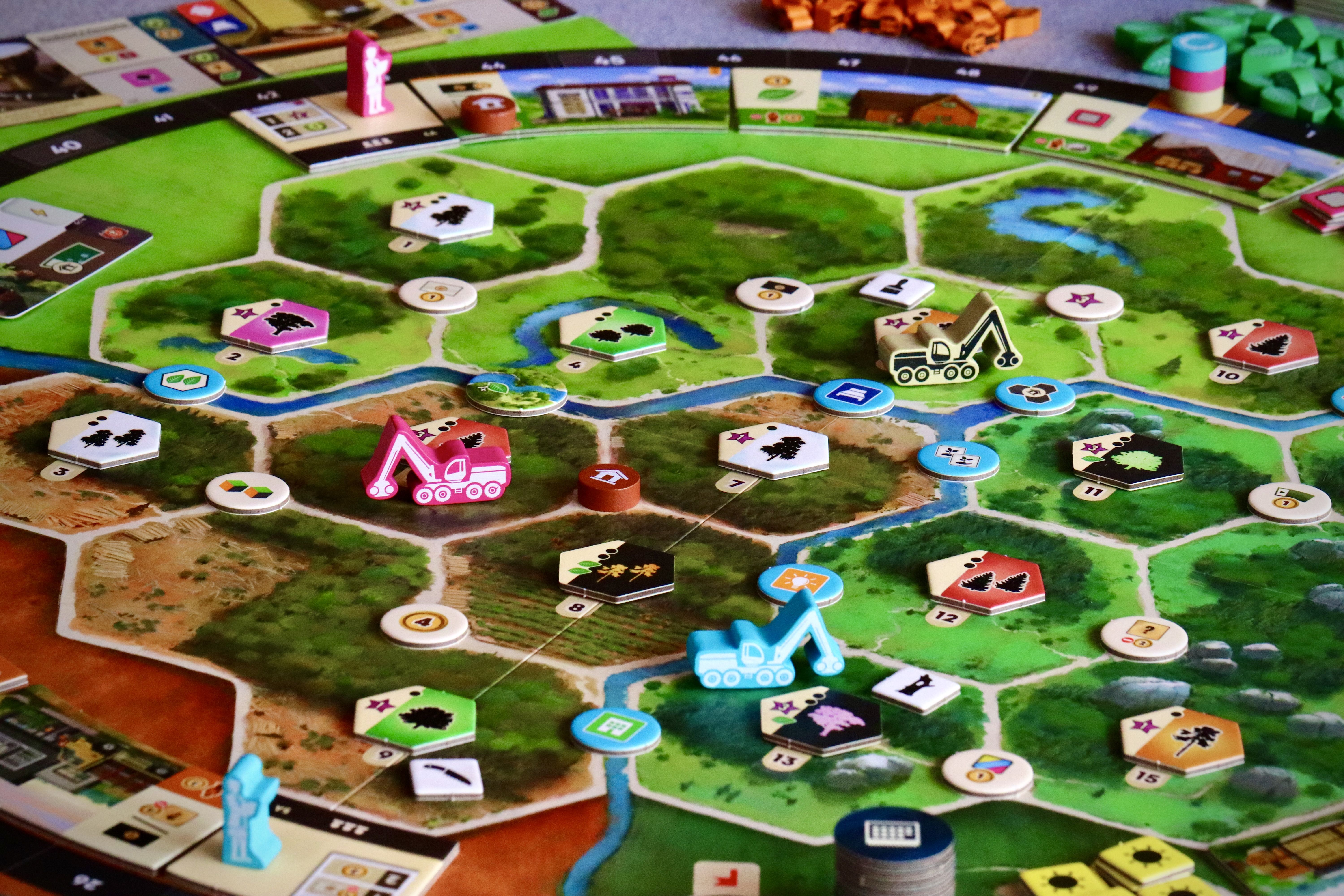 Forestry board game complete table setup
