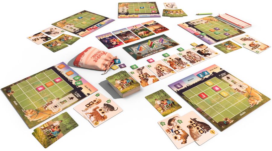 Forever Home board game components