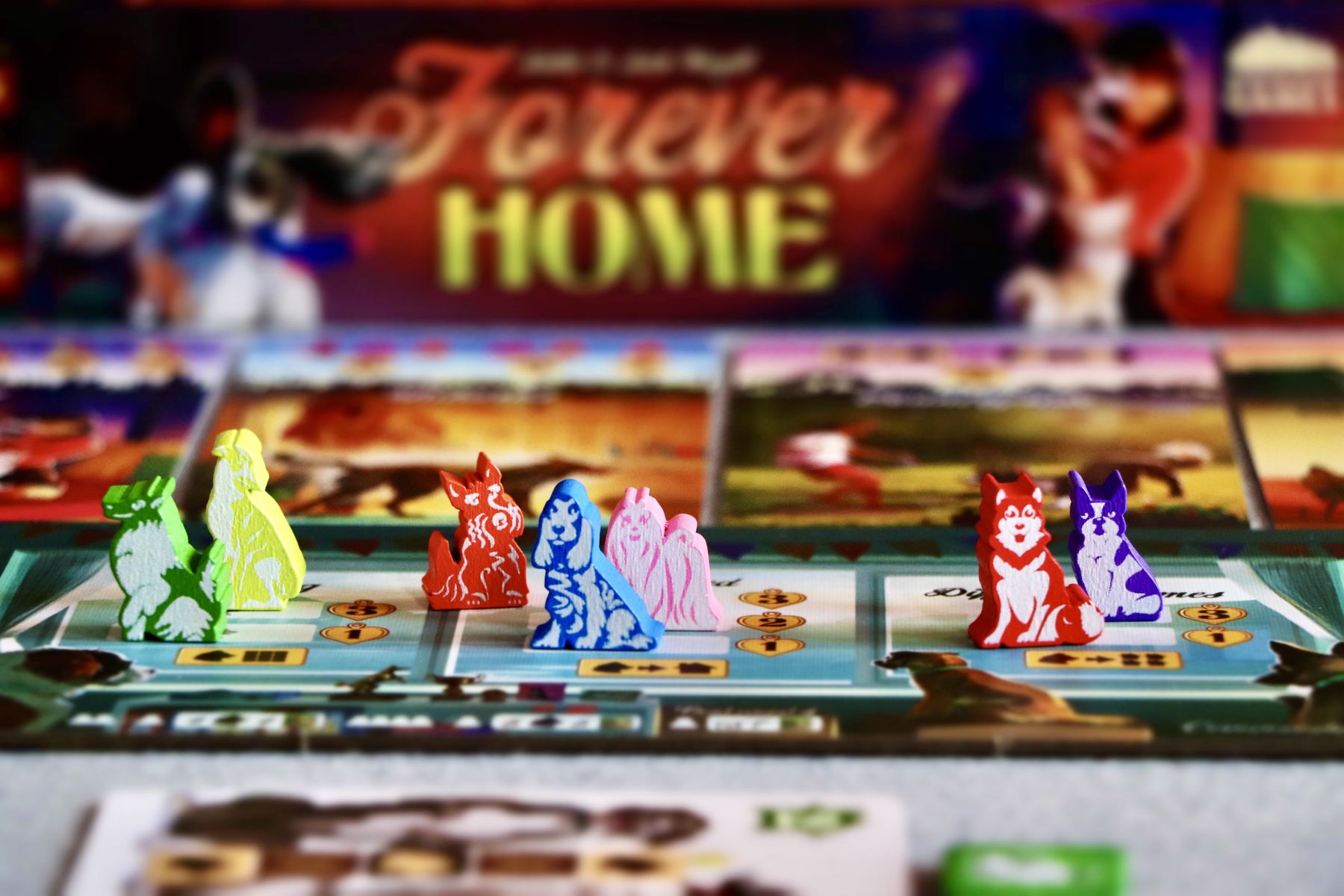 Forever Home board game setup