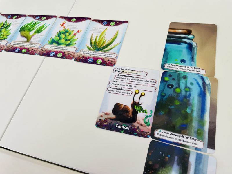 Close view of Glass Garden cards