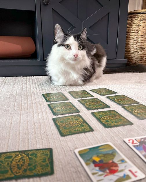 Gnoming A Round game in progress