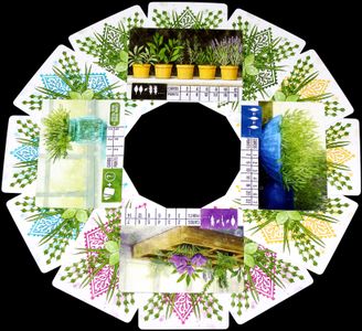 Herbaceous pot cards with collected herb sets