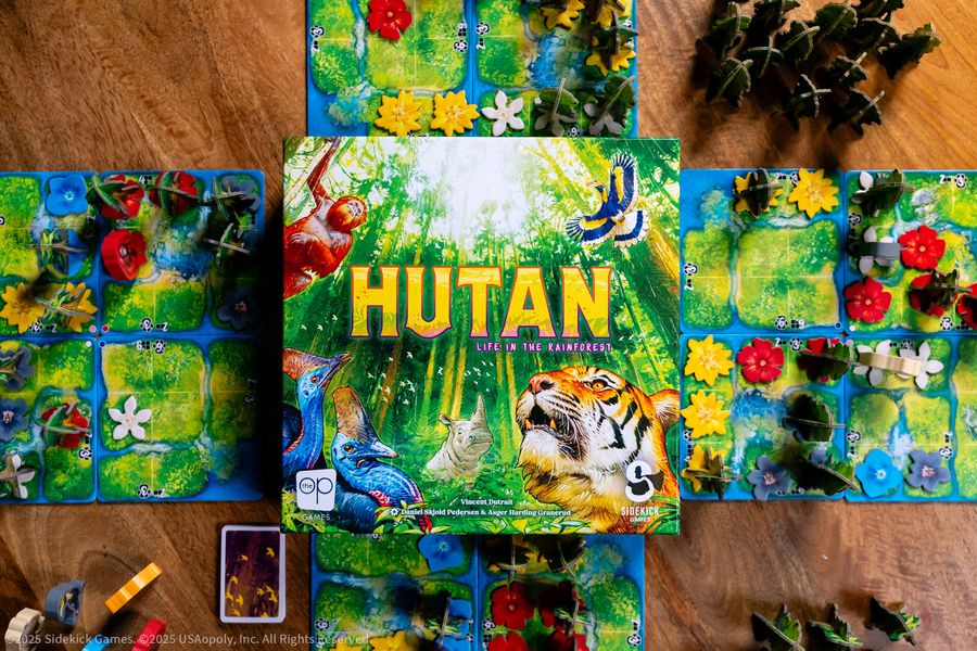 Top-down view of Hutan board game components