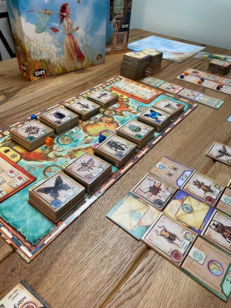 Insecta game arranged on a table