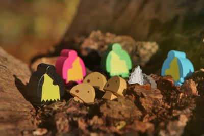 Wooden resources from Kingdomino Origins