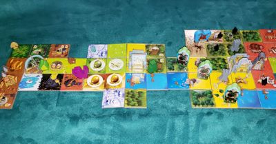 Kingdomino Origins domino selection line and kingdoms
