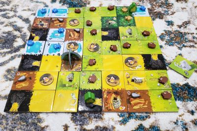 Completed Kingdomino Origins kingdom in Totem mode