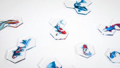 Transparent pond tiles and components from Koi