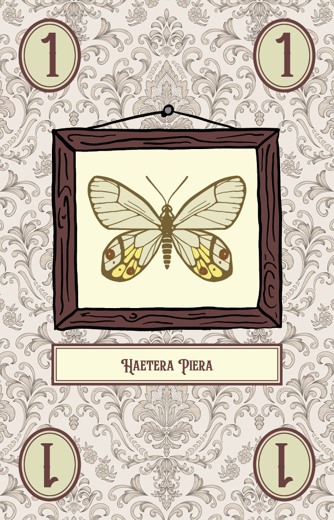 Lepidoptery butterfly card