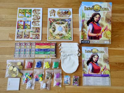 Lions of Lydia game components