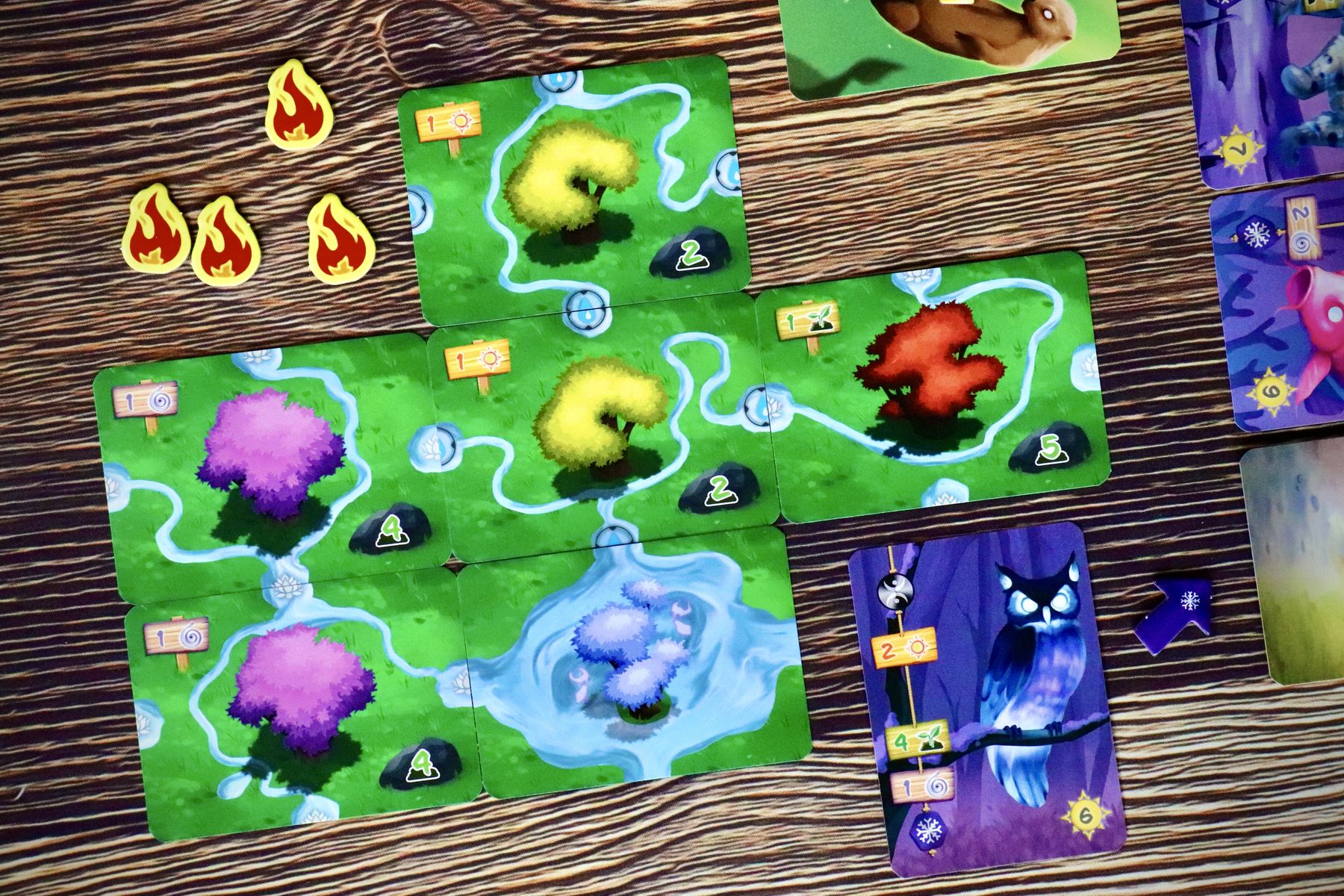Living Forest Duel cards and forest components