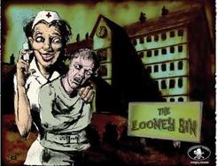 The Looney Bin box art