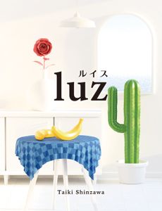 Luz box art