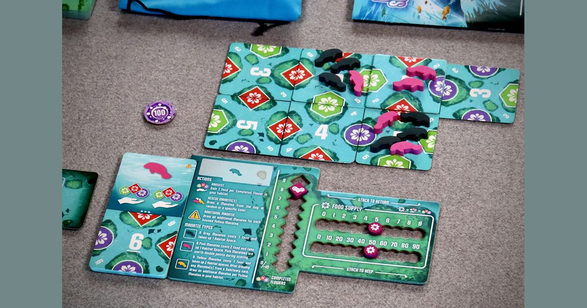 Manatee Sanctuary game setup