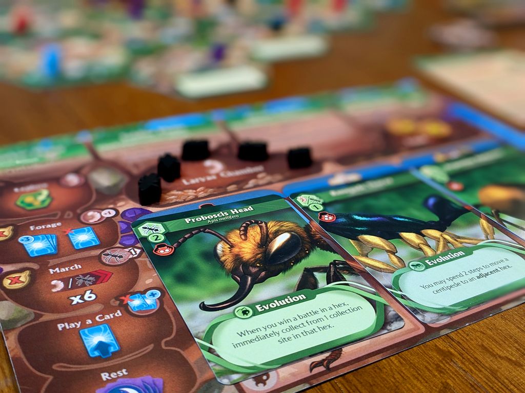 March of the Ants Evolved Edition ant cards