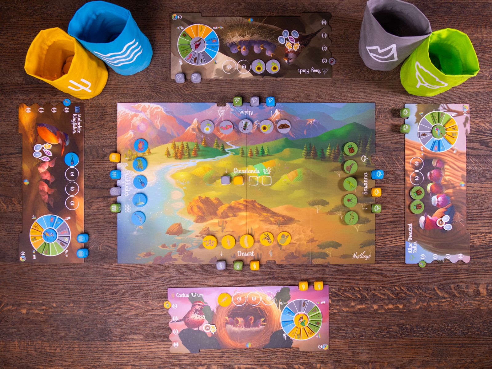 Top-down view of Nestlings set up for play