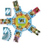 Noah illustrated animal cards