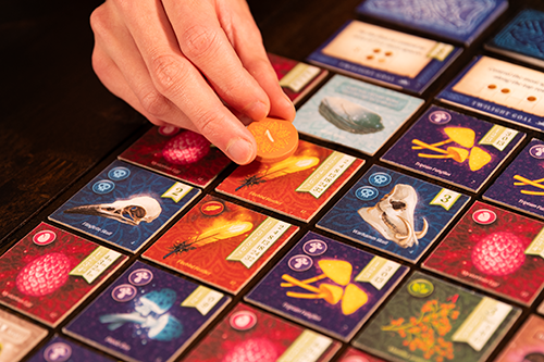 Nocturne enchanted forest game artwork and items