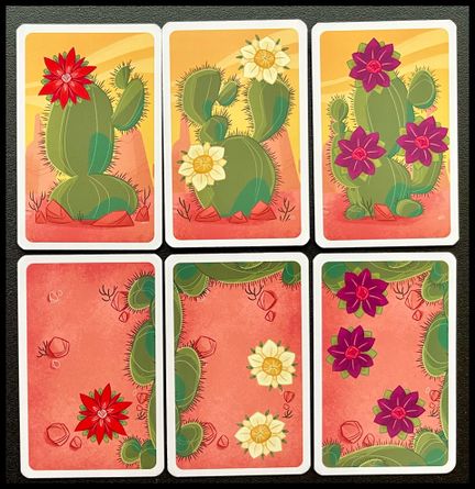 Front and back of Ouch cactus cards
