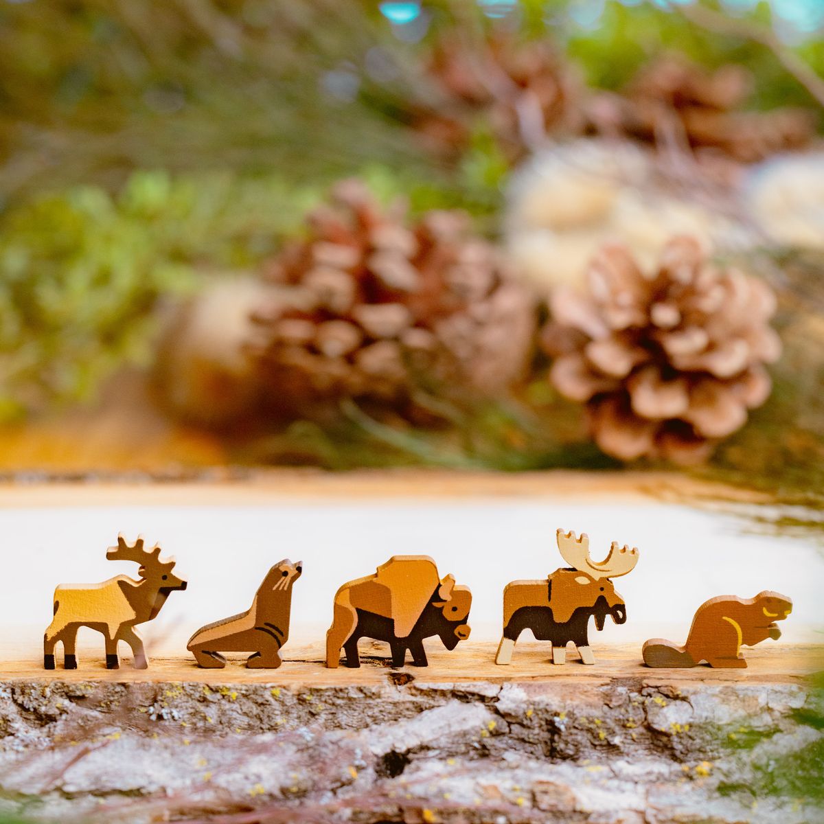 Parks second edition wooden wildlife tokens close up