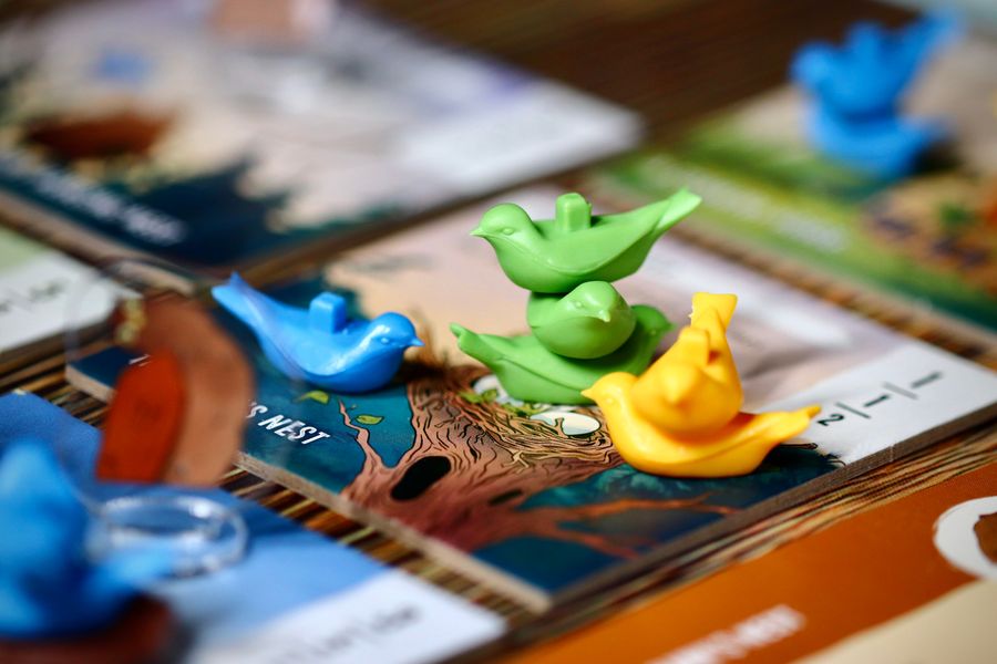 Perch board game during a woodland majority contest